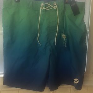 hollister bathing suits mens